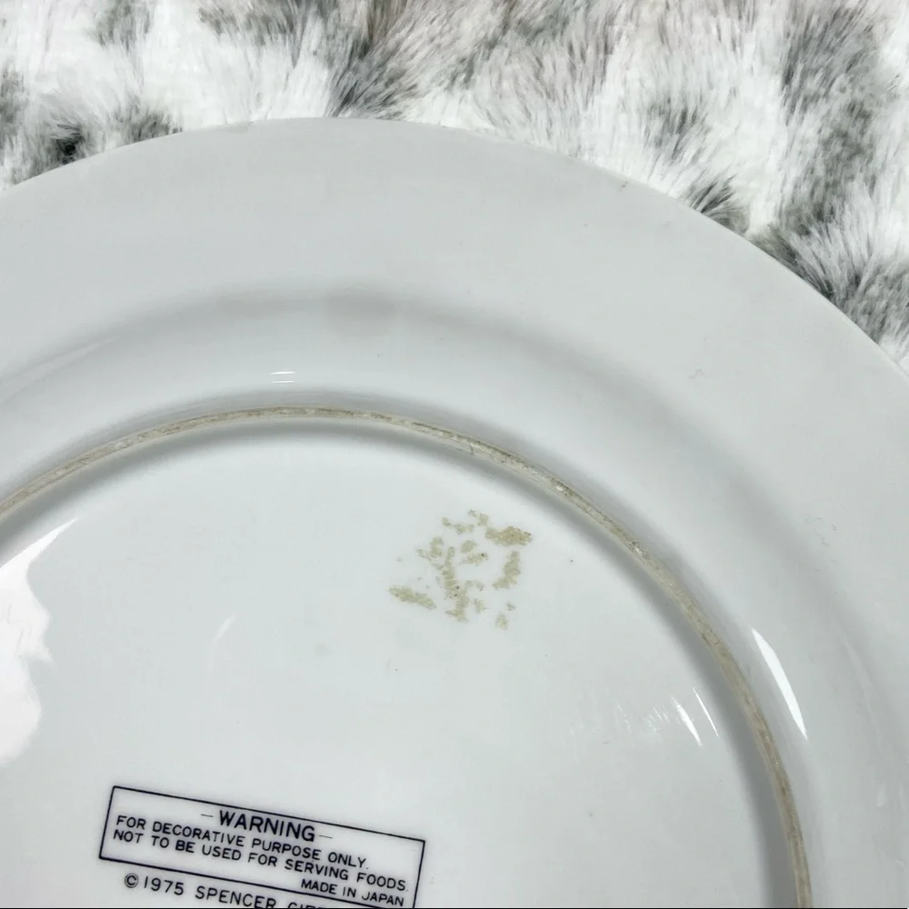 Vintage 1976 200th USA Anniversary Plate